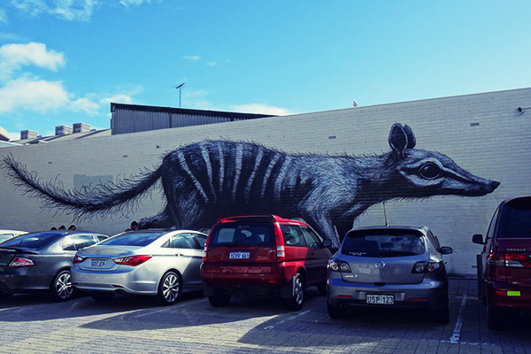 Numbat mural by ROA