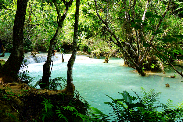 kuang_si_luang_prabang_pool_laos