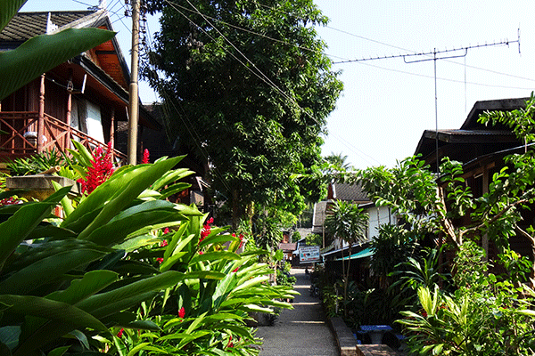 luang_prabang_cycling_biking