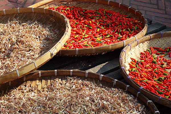 luang_prabang_cycling_market_laos