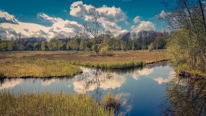 amsterdamse bos, oeverlanden