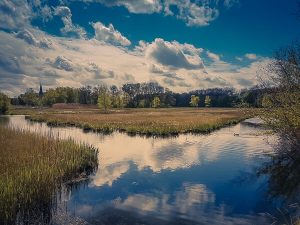 Amsterdam Forest, De Overlanden, Peat landscape