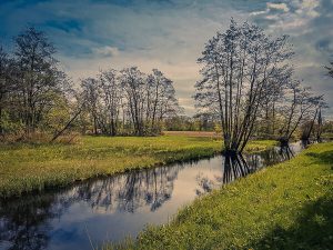 Amsterdam Forest, De Overlanden, Peat landscape